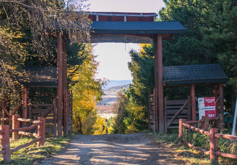 Criadero%20Pichi%20Blanco